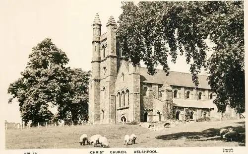 United Kingdom Wales Welshpool Christ church