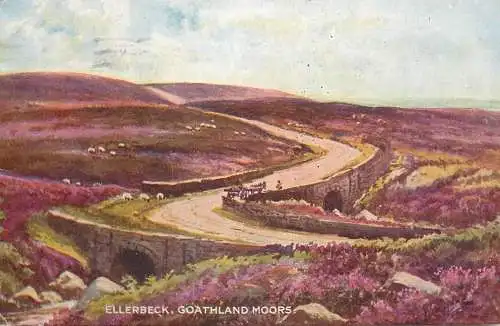 United Kingdom England Ellerbeck Goathland Moors