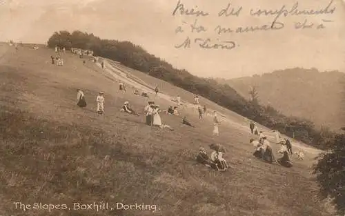 United Kingdom England Dorking Boxhill