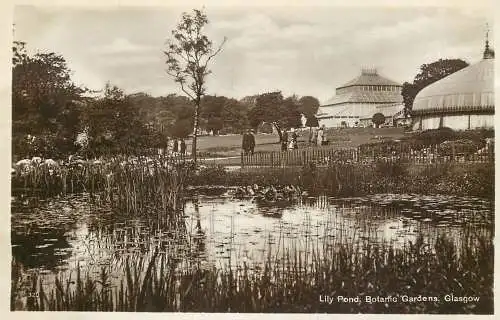 United Kingdom Scotland Glasgow botanic garden Lily pond