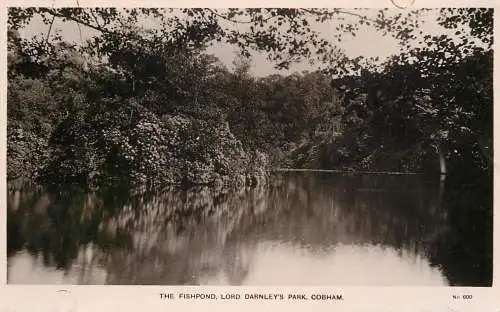 United Kingdom England Cobham fishpond Lord Darnley's park