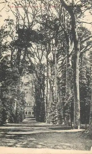 United Kingdom England mansion house and forest