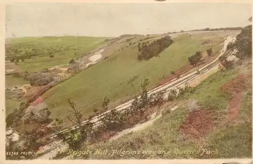 United Kingdom England Reigate Hill Pilgrims way