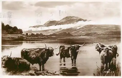 United Kingdom Scotland Ben Lomond from Luss