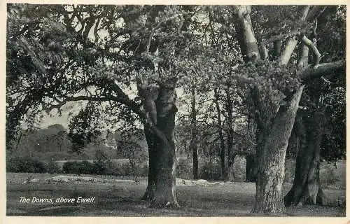 United Kingdom England the Downs above Ewell 1937