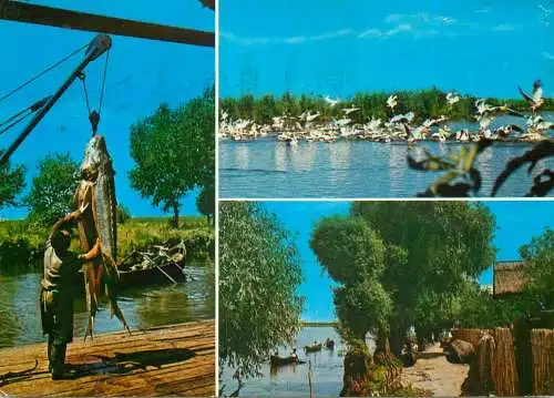 Romania Tulcea diverse aspecte