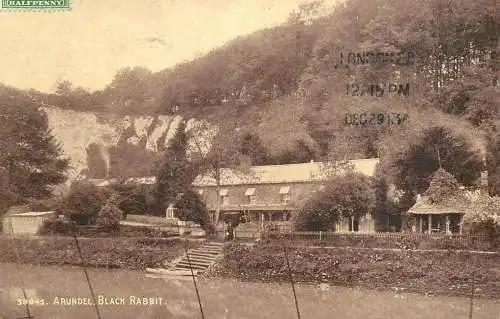 UK England Arundel  Black Rabbit