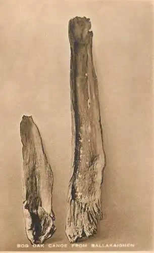 UK England Bog Oak Canoe from Ballakaighen