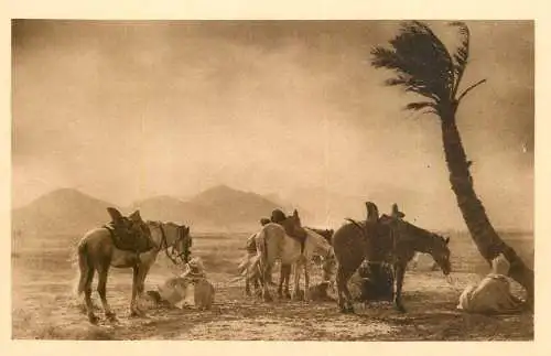 North Africa ethnic community life Algerie cavaliers sous la rafale du Simoun