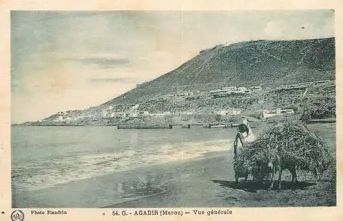 North Africa ethnic community life Morocco Agadir donkey on beach