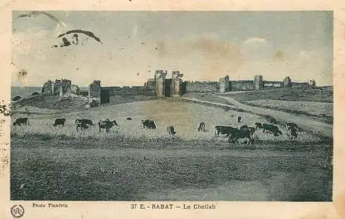North Africa ethnic community life Morocco Rabat Le Chellah fort