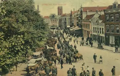 UTRECHT Paardenmarkt horses fair Netherland 1910 sent to Constanta Romania