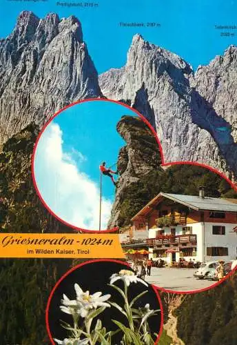 Austria Tirol Griesneralm Wilden Kaiser