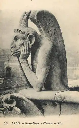 Paris Notre Dame Chimere