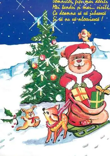 Christmas greetings illustration Postcard