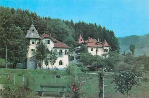 Vile in Sangeorz-Bai Romania