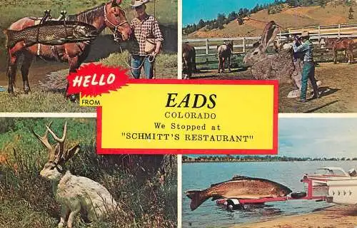 USA Eads CO multi view