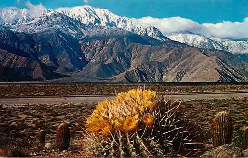 USA Desert scenery during springtime