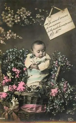Young baby boy in giant flower basket