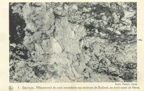 Geologie affleurement de craie secondaire aux environs de Bolland, au nord-ouest de Herve