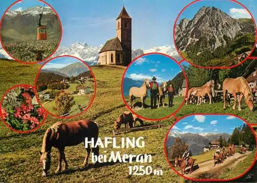 Austria Tirol Hafling bei Meran Avelengo pres Merano