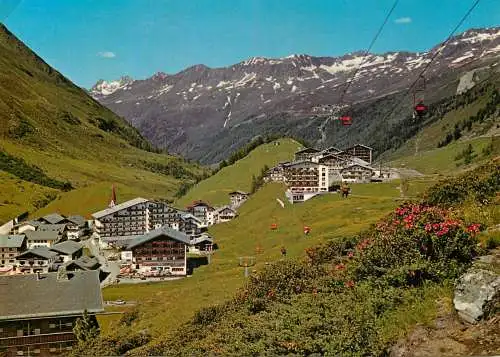 Austria Tirol Otztal Alpenrosenblute in Obergurgl 1983