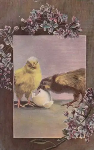 Joyeuses Paques poussins 1909 Easter greetings postcard