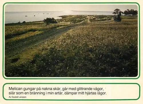 Sweden Gotland Östergarn Melican av gustav Larrson