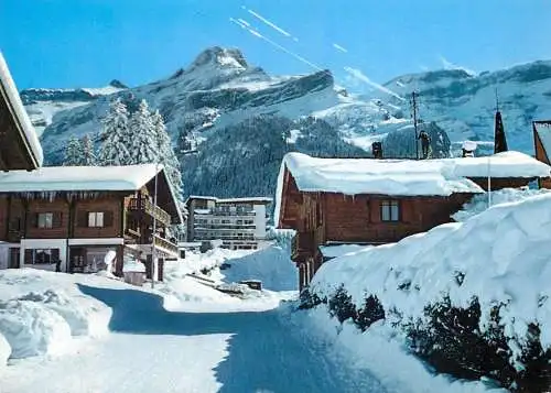 Switzerland Diablerets winter scenery
