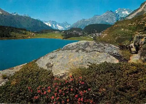 Switzerland Maloya