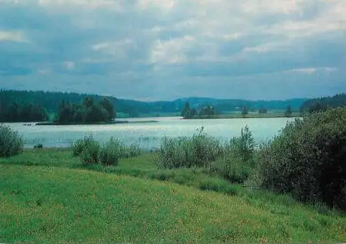 Finland lake and forest landscape