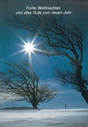 Holiday postcard Frohe Weihnachten und alles Gute zum neuen Jahr