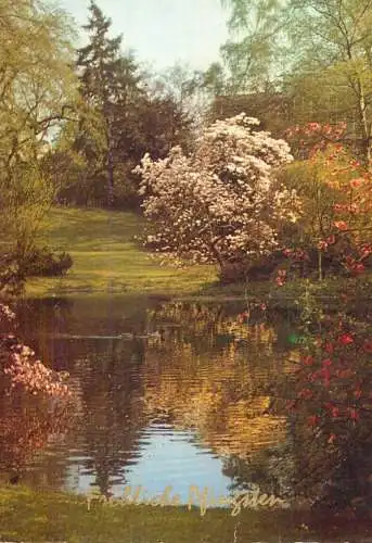Europe place to identify nature lake bloom