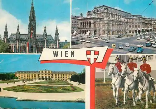 Austria Wien spanish horse city hall