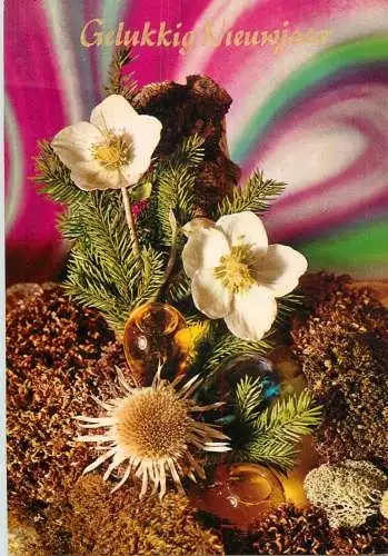 Holiday postcard Gelukkig Nieuwjaar flower
