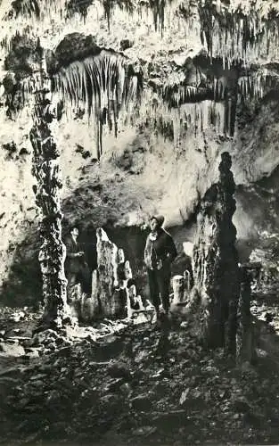 Romania Baia de Fier pestera muierii