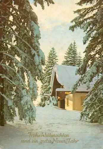 Winter Holidays greetings winter scenery