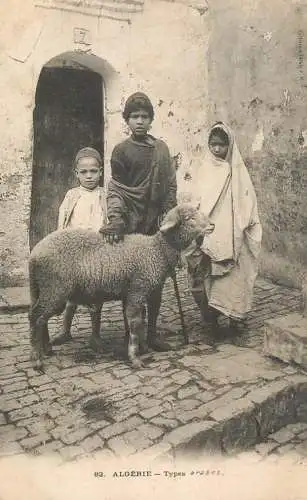 Africa Algeria Alger types arabes ethnic native and sheep