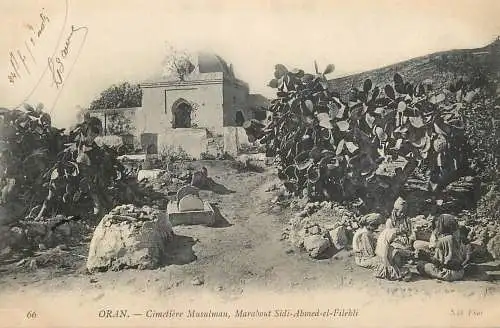 Africa Algeria Oran cimetiere musulman Marabout Sidi Ahmed el Filebli cactus ethnic