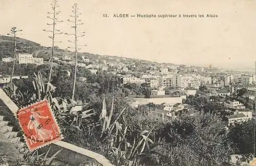 Africa Algeria Alger Mustapha superieur a travers les Aloes
