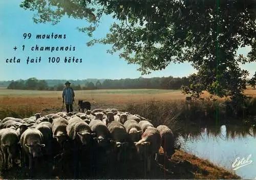 Folklore and traditions costumes folk types scenes de Champagne 1987