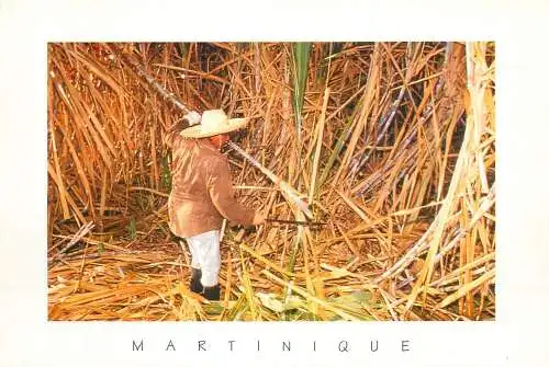 Folklore and traditions costumes folk types scenes Antilles coupeur de canne