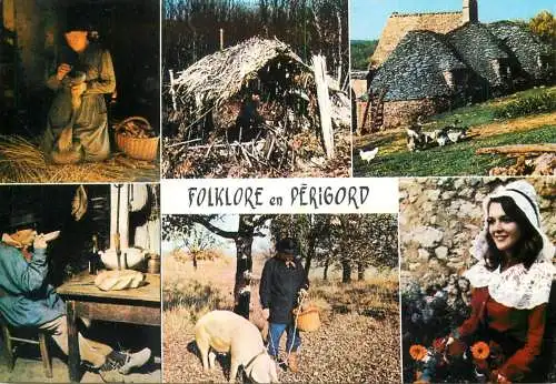 Folklore and traditions costumes folk types scenes en Perigord gaveuse d'oie