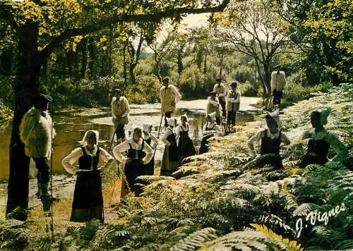 Folklore and traditions costumes folk types Landes Lous Pastous Seignossais
