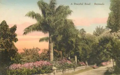 America Antilles Bermuda a peaceful road