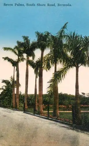 America Antilles Bermuda Seven palms South shore road