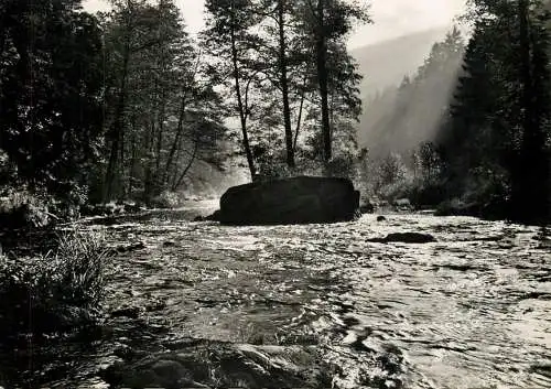 Germany Morgenstimmung im Schwarzatal