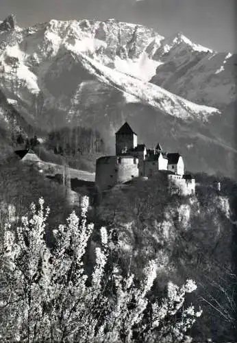 Liechtenstein Schloss Vaduz Furstentum mit Falknis