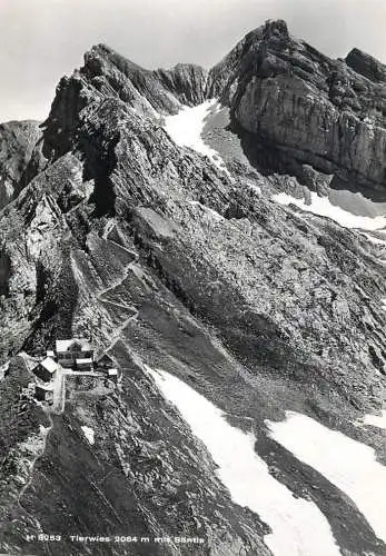 Switzerland Tierwies mit Santis