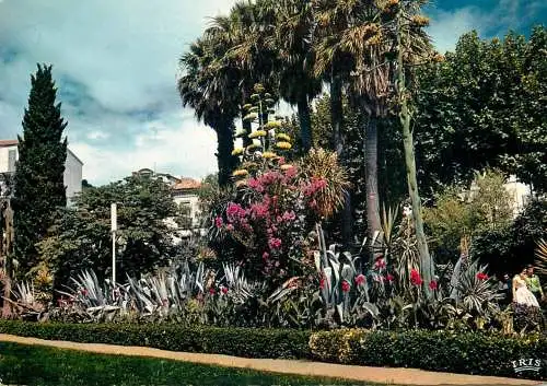 France Var > Hyeres les palmiers